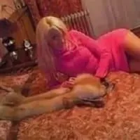 Psie-Pole-Poludnie-Kielczow sexual-massage
